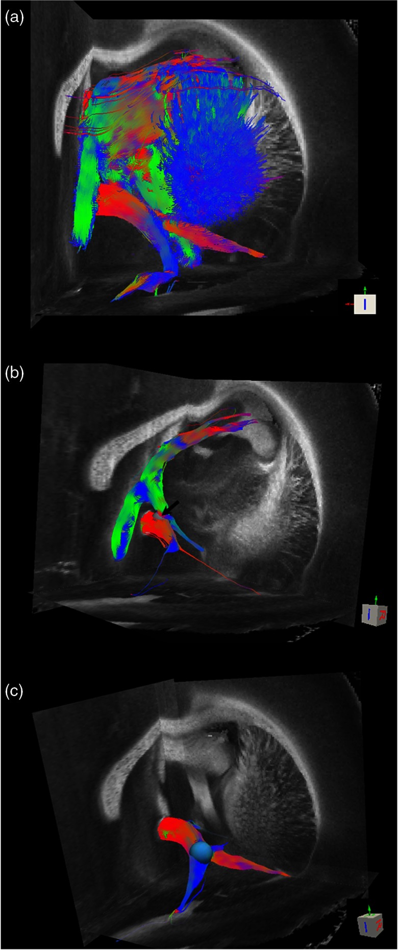 Fig. 8