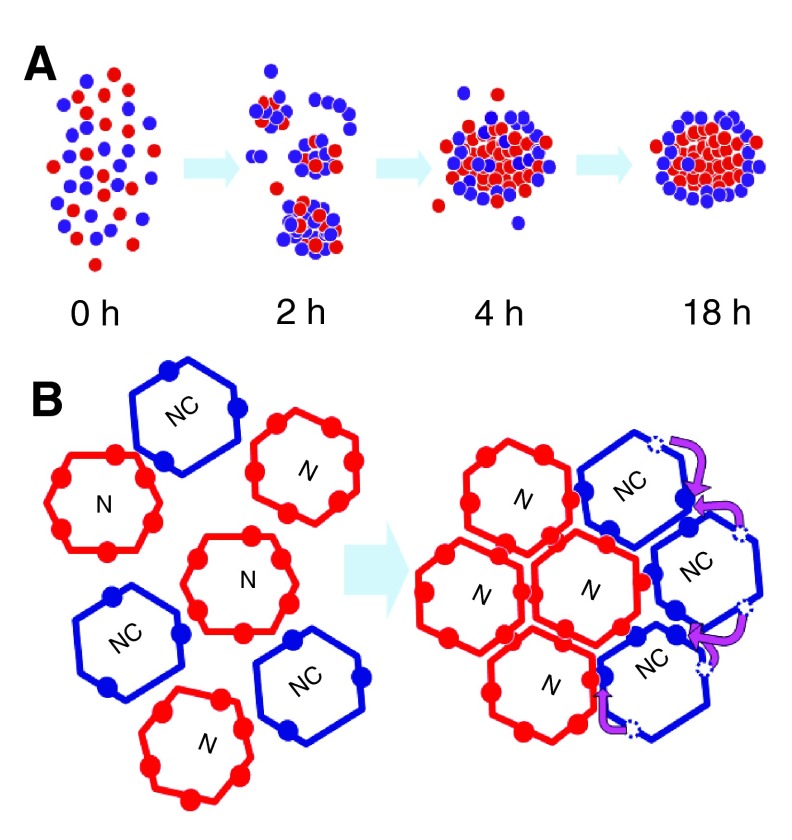 Figure 10. 