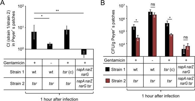 FIG 4 