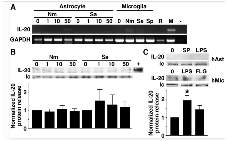 FIGURE 1: