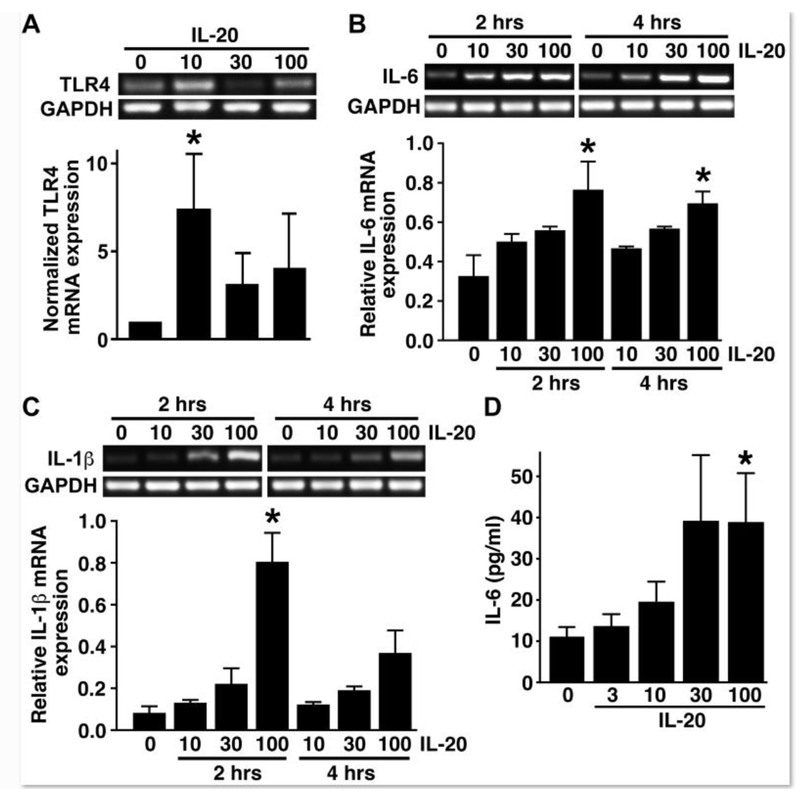 FIGURE 2: