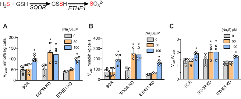 Figure 4