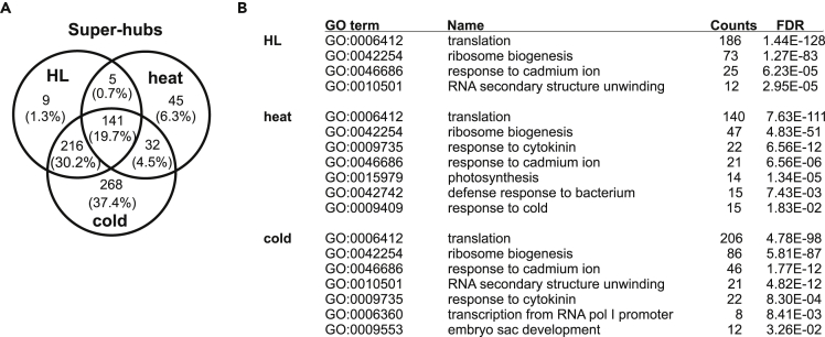 Figure 6