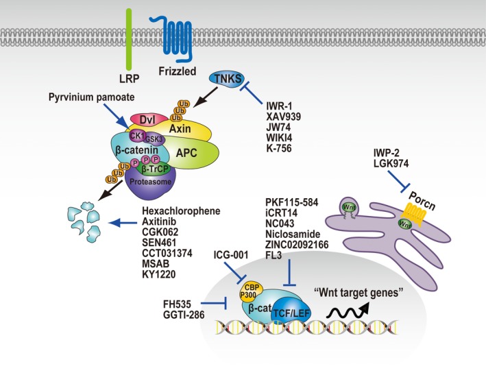 Figure 2