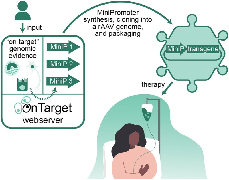 Graphical Abstract