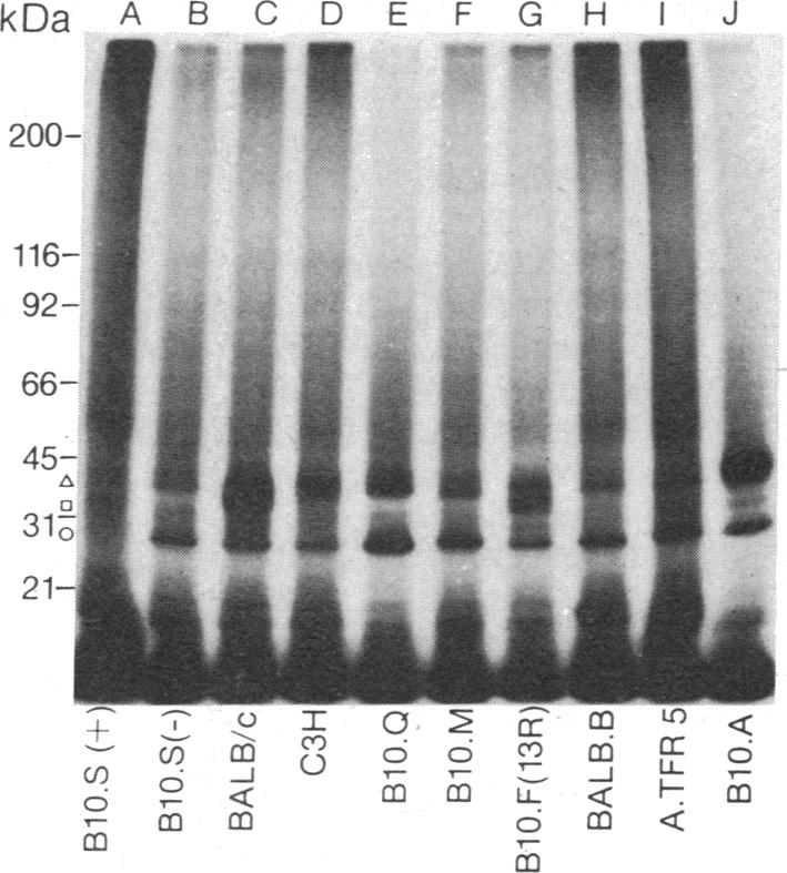 graphic file with name pnas00319-0291-a.jpg