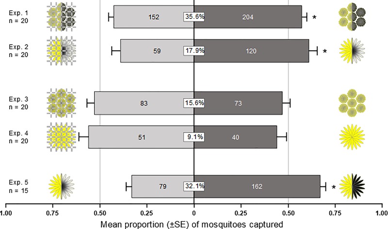 Fig 5