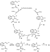 Scheme 27