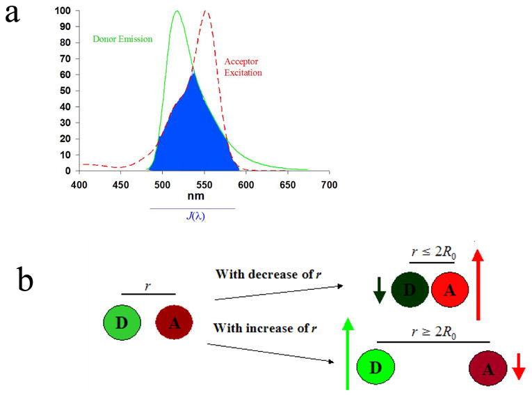 Figure 1.1