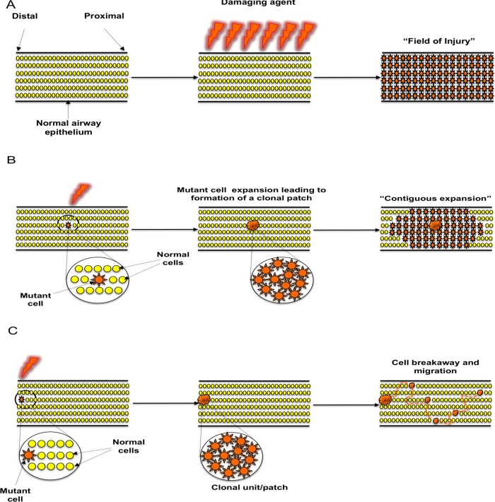 Figure 6