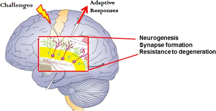 FIGURE 1.