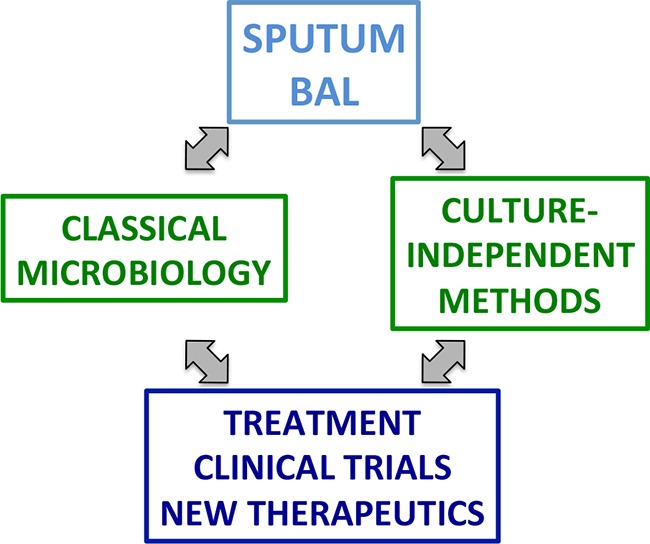 FIG 1