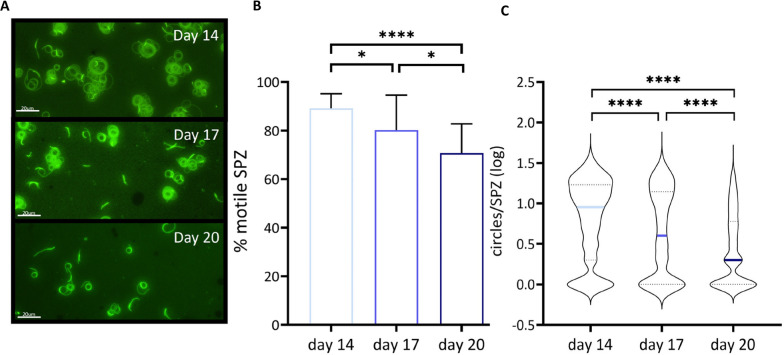 Fig. 3