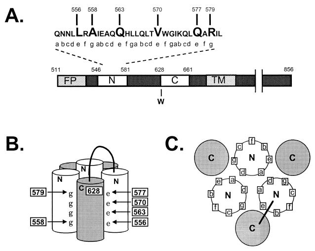 FIG. 1