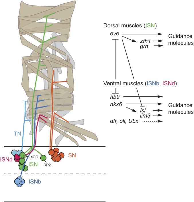 Figure 10