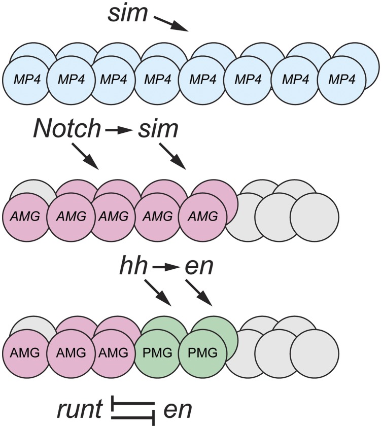 Figure 14