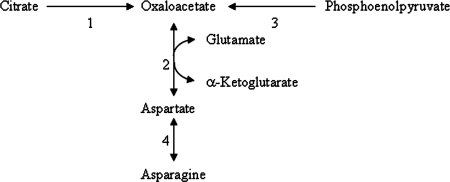 FIG. 2.