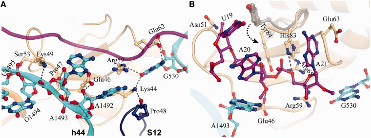 Figure 4.