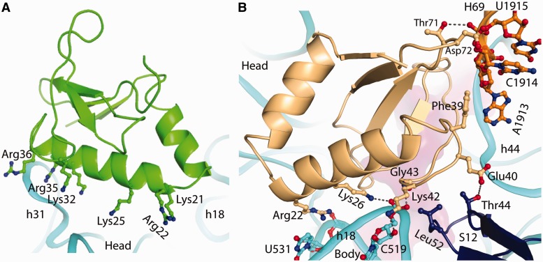 Figure 3.