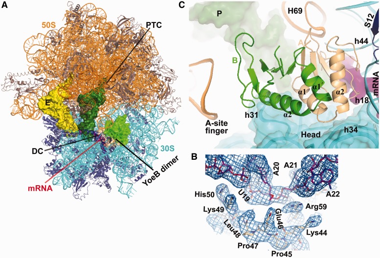 Figure 2.