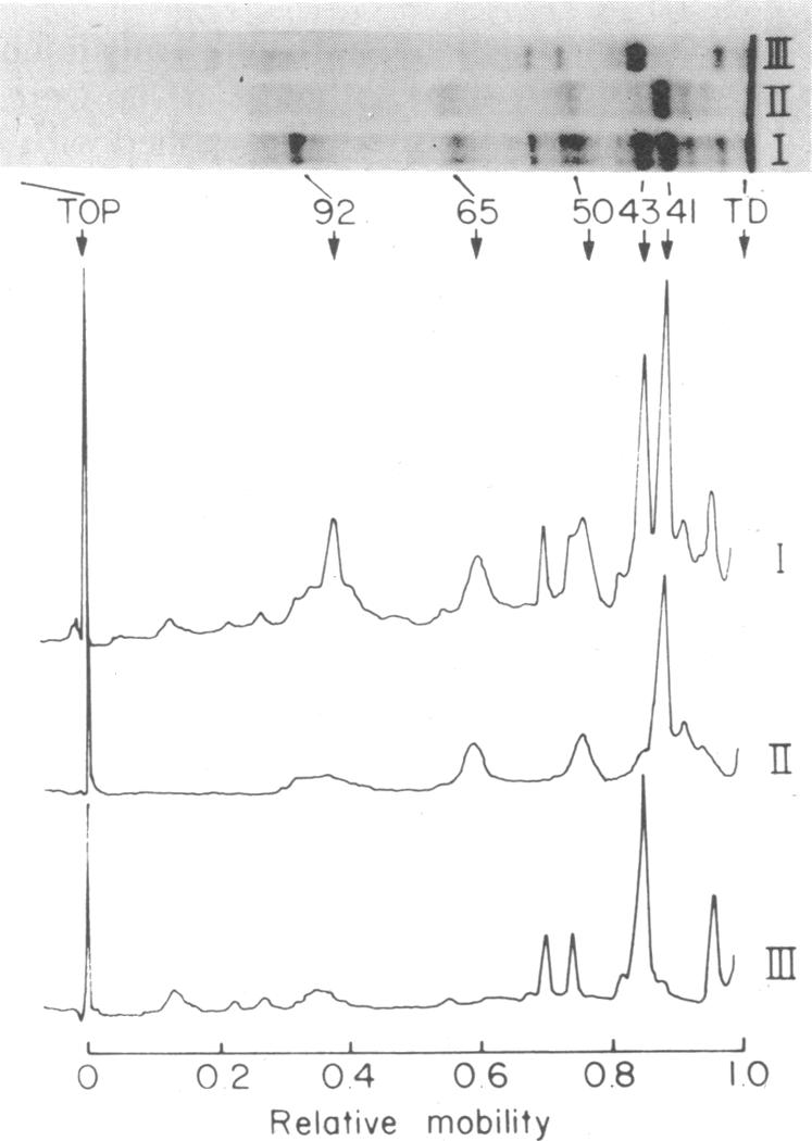 graphic file with name pnas00002-0150-a.jpg