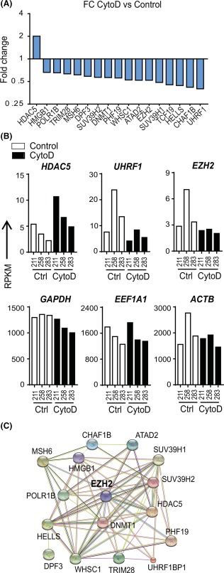 Figure 5