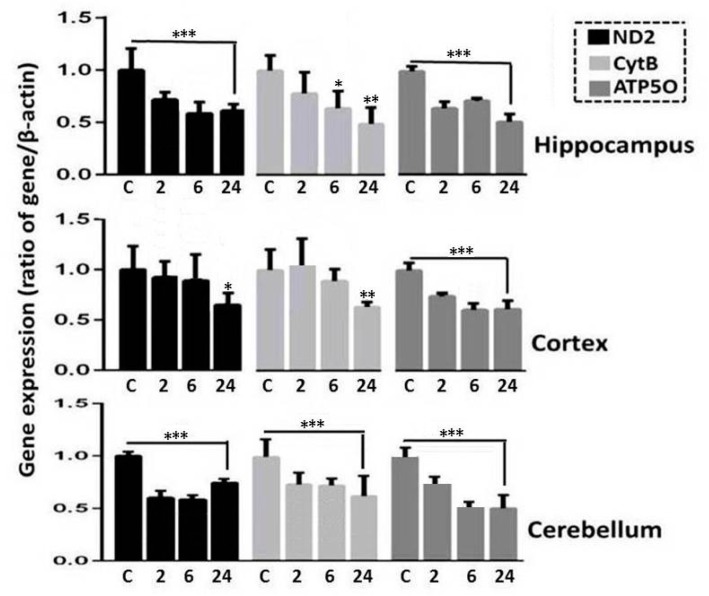 Figure 5