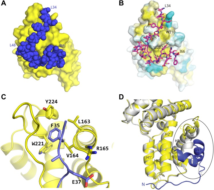 Figure 2.