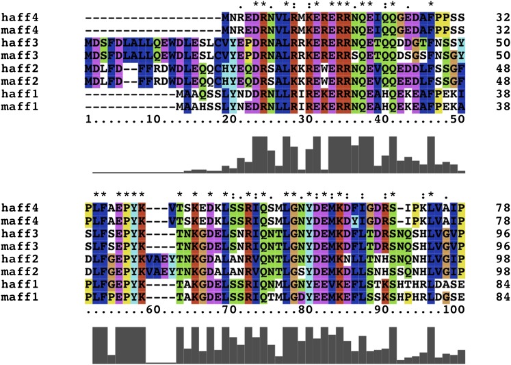 Figure 2—figure supplement 2.