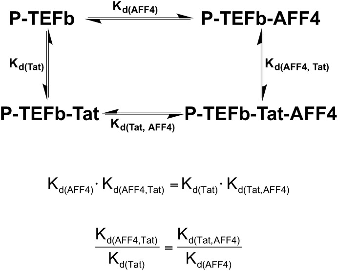 Figure 4—figure supplement 1.