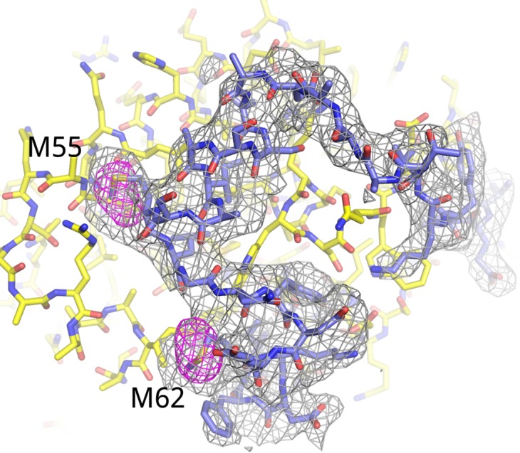 Figure 1—figure supplement 1.