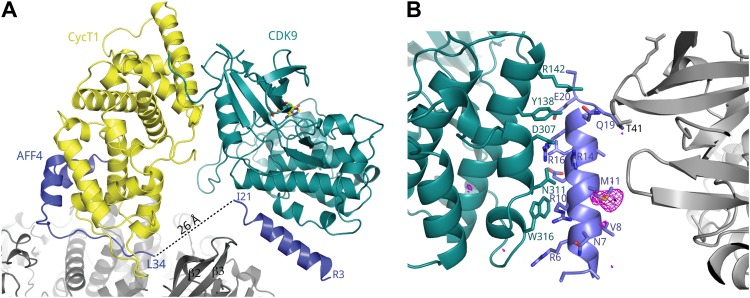 Figure 1—figure supplement 2.