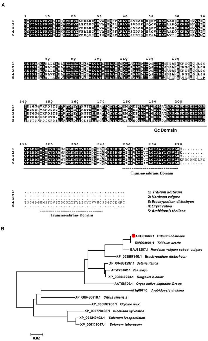 FIGURE 1