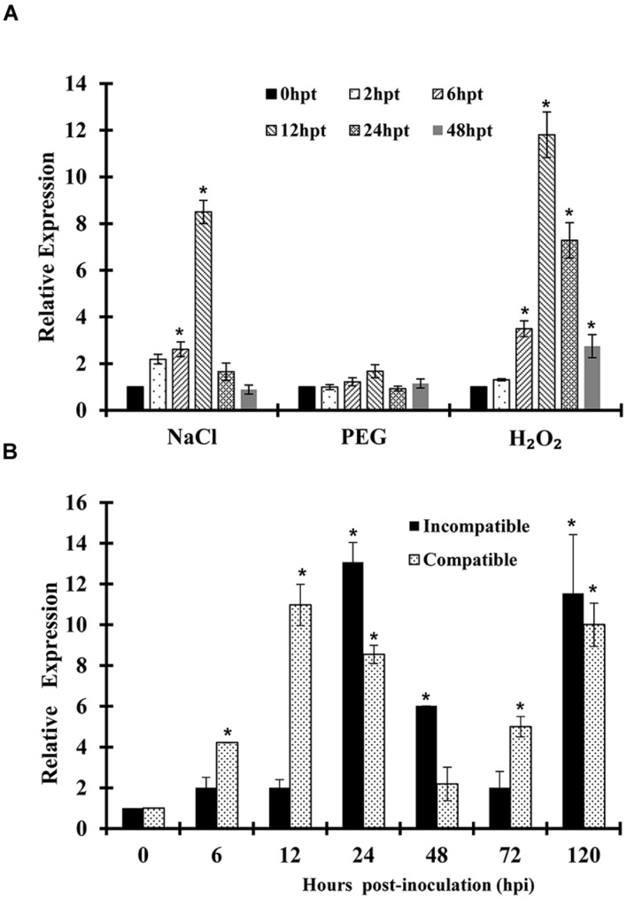 FIGURE 3