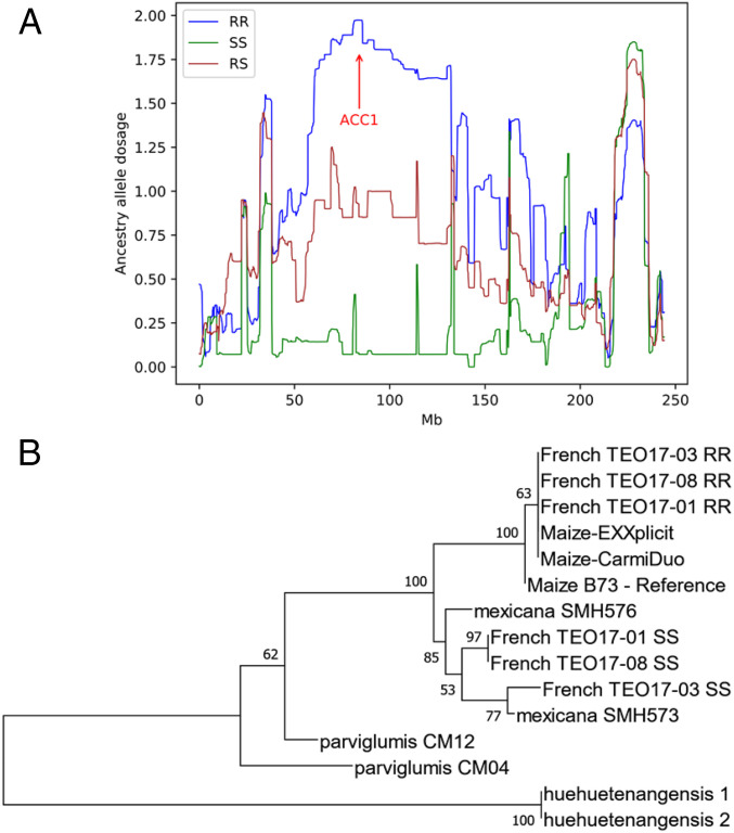 Fig. 6.