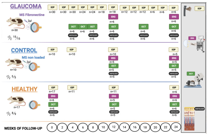 Figure 16