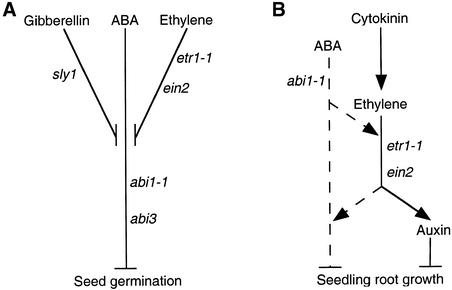 Figure 10.