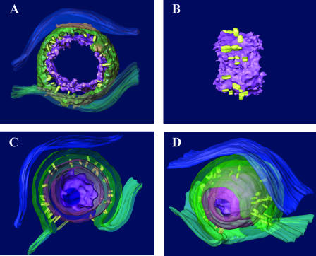 FIG. 4.