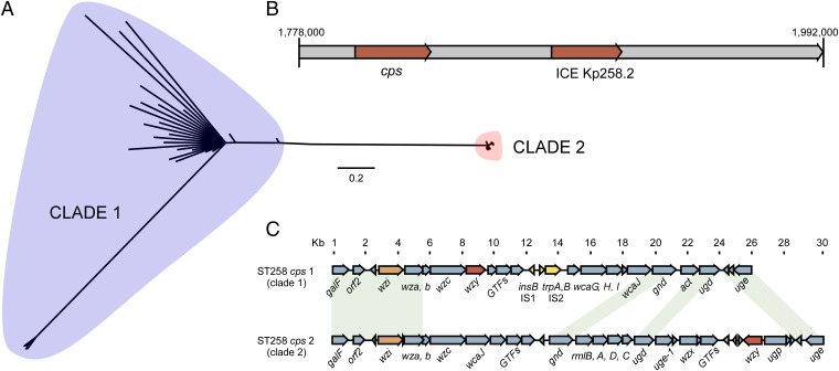 Fig. 4.