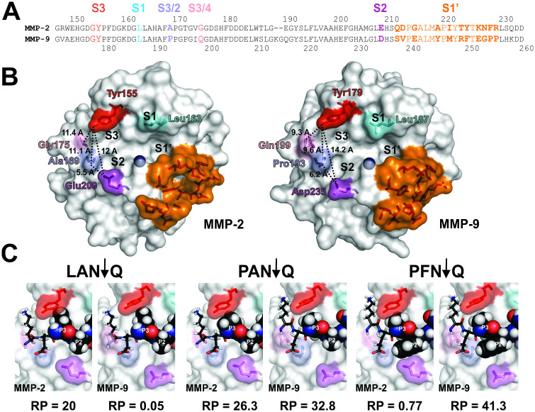 Fig 6