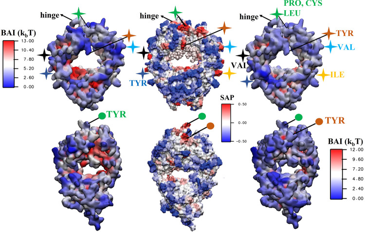 Figure 10