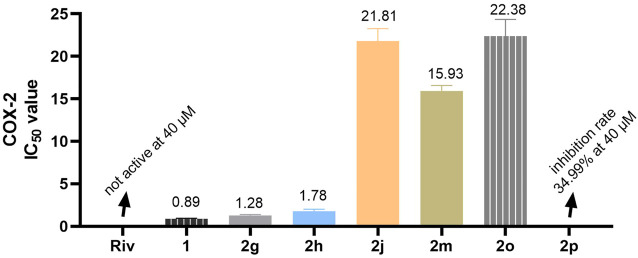 FIGURE 11