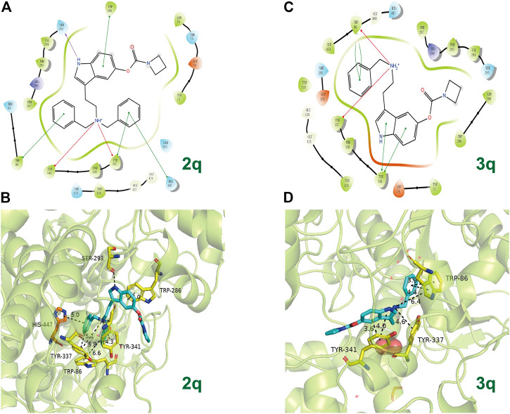 FIGURE 6