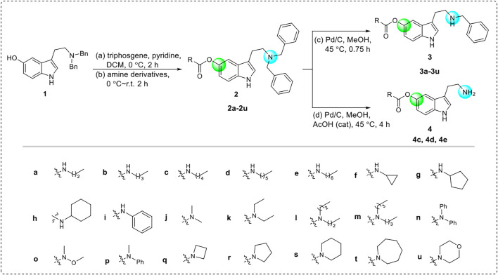 SCHEME 2