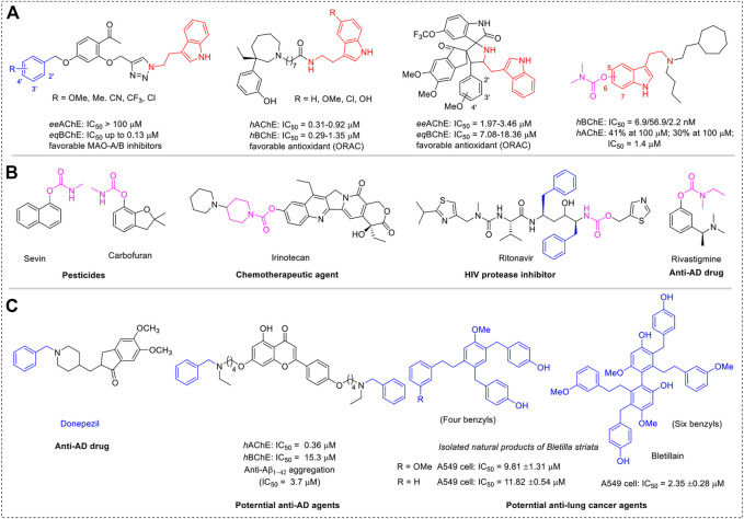 SCHEME 1