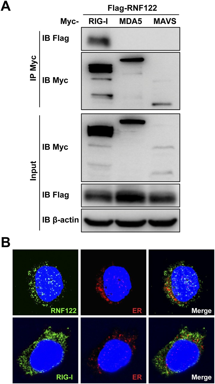 Fig. S1.