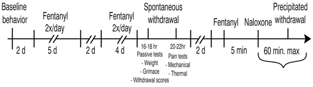 Figure 1: