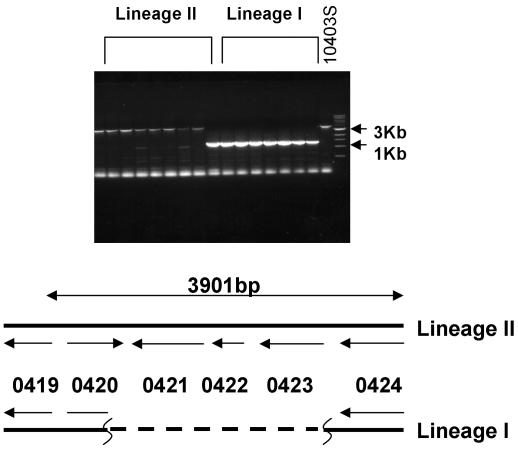 FIG. 3.