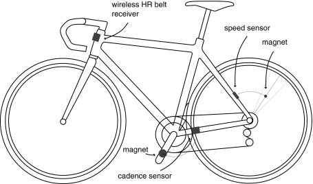 Fig. 2