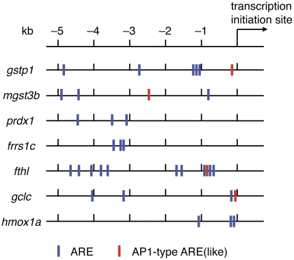 Figure 7